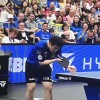 2-3输球！樊振东德甲首秀爆冷失利，海外适应难题待解！