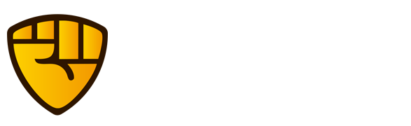 https://chs-biyisports.com/